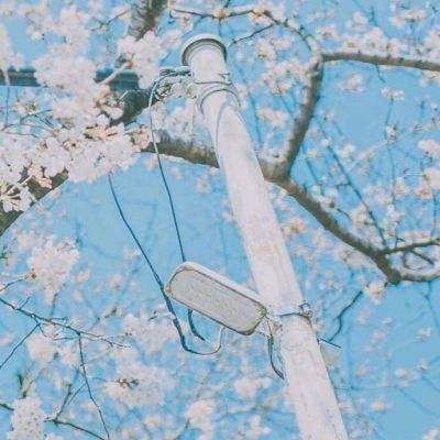 三国很忙手游九游版下载