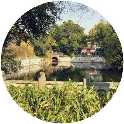 召唤与合成手游360版下载